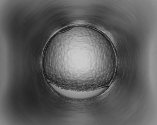 X0000094081473200711161557