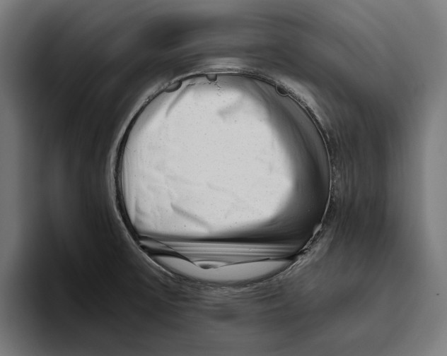 X0000094081475200711161557