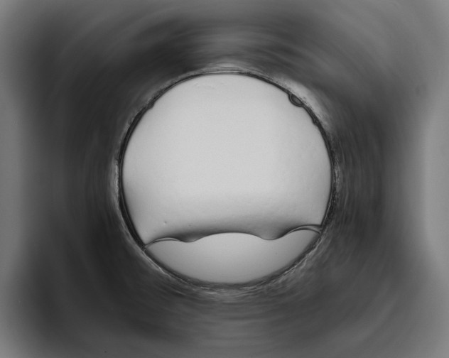 X0000094081476200711161557