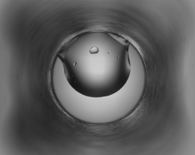 X0000094081477200711161557