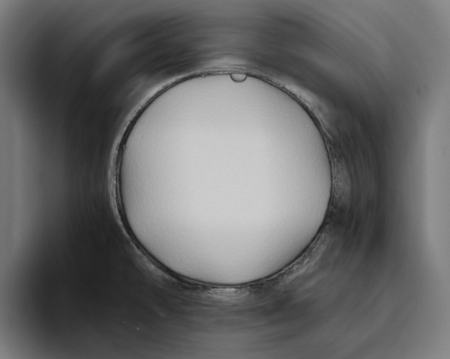 X0000094081478200711161557