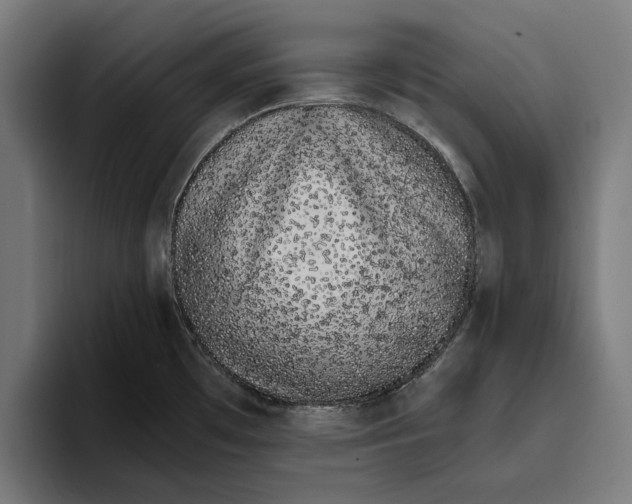 X0000094081481200711161557