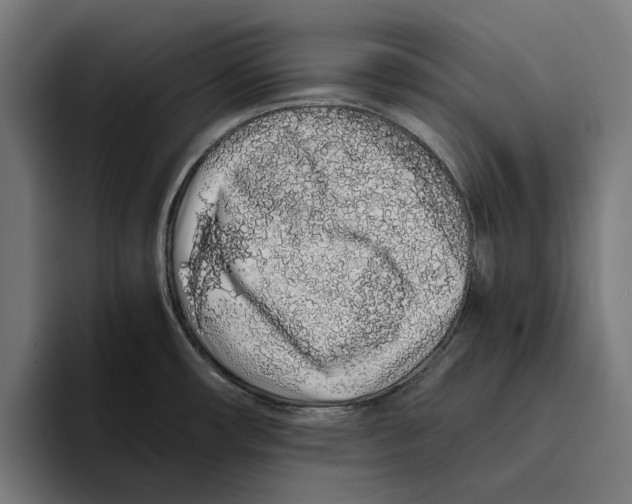 X0000094081482200711161557
