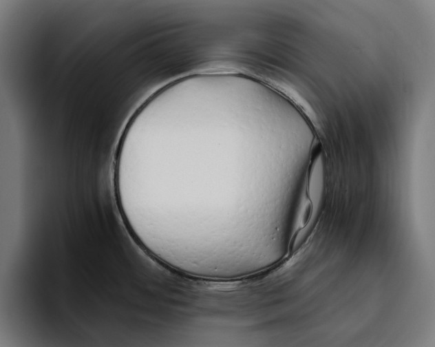X0000094081484200711161557