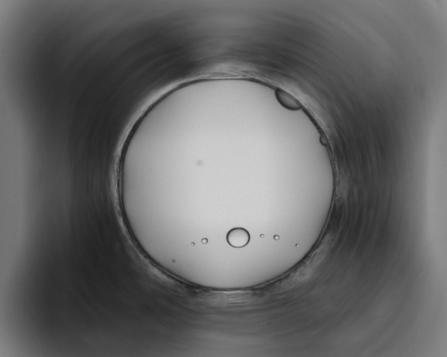 X0000094081486200711161557