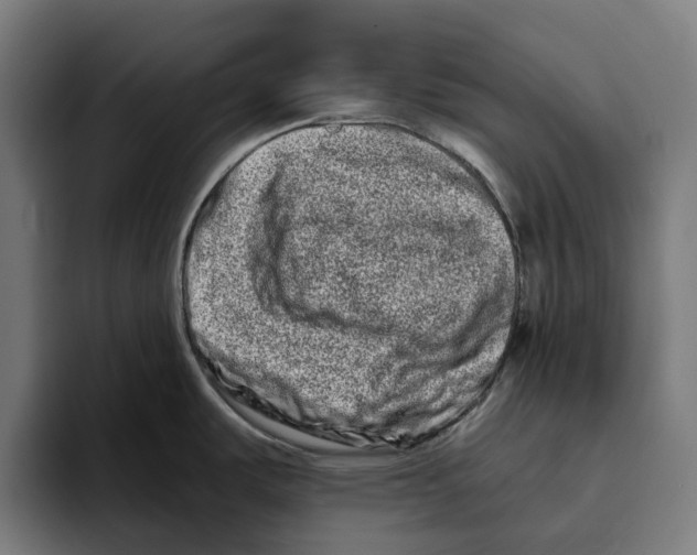 X0000094081487200711161557