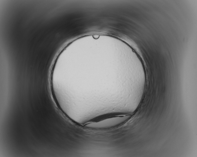 X0000094081488200711161557