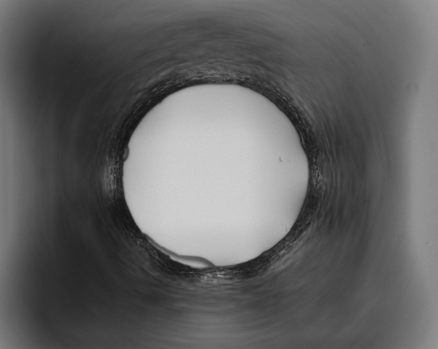 X0000094081490200711161556