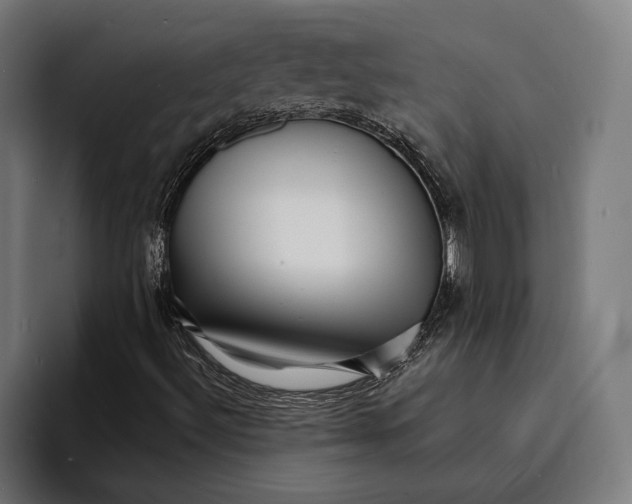 X0000094081492200711161556