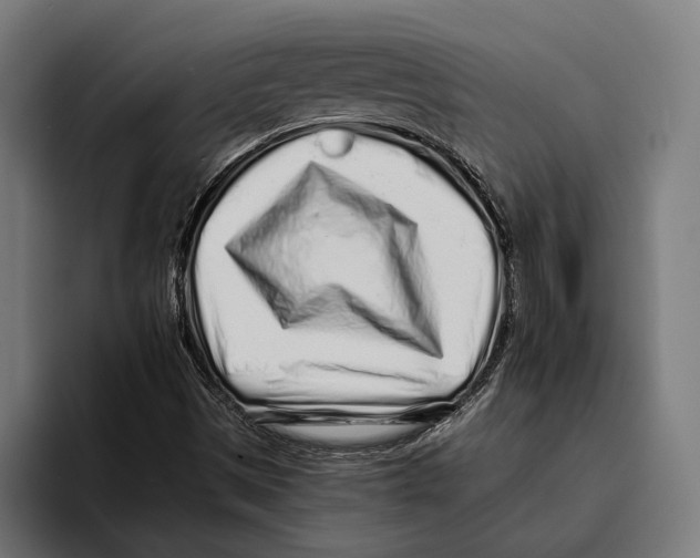 X0000094081497200711161557