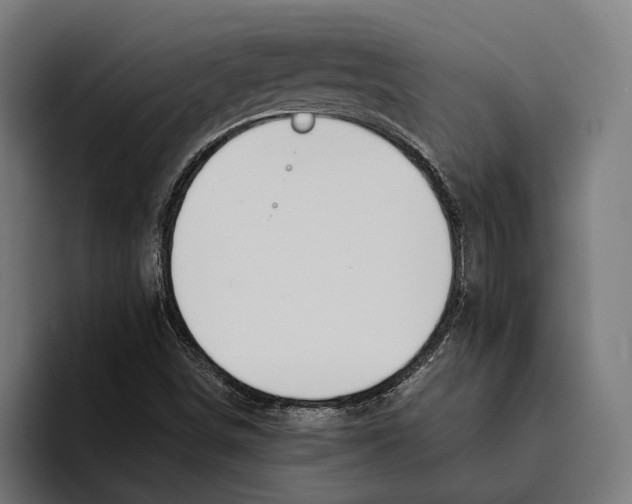 X0000094081498200711161557
