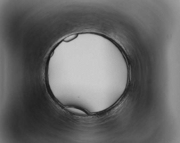 X0000094081500200711161557