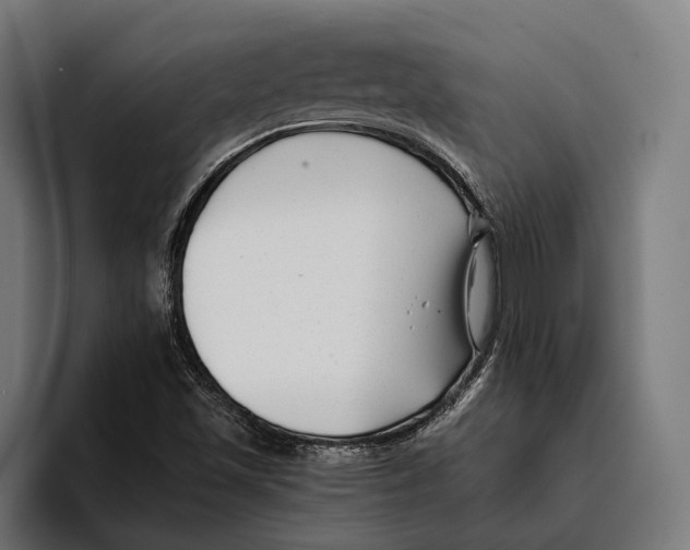 X0000094081501200711161557