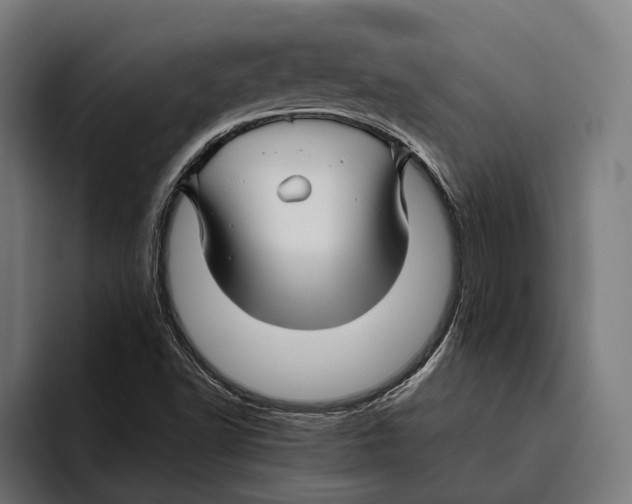 X0000094081502200711161557