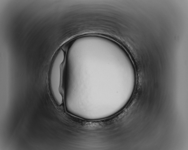 X0000094081505200711161557