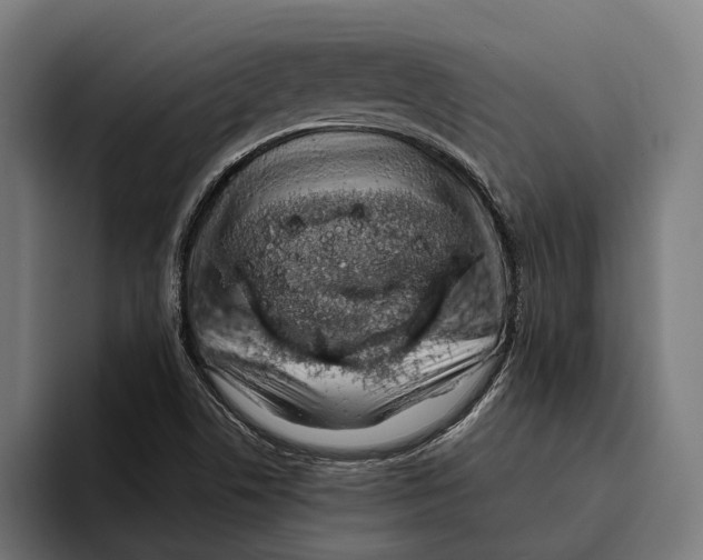 X0000094081506200711161557