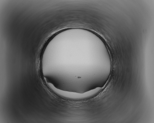 X0000094081507200711161557