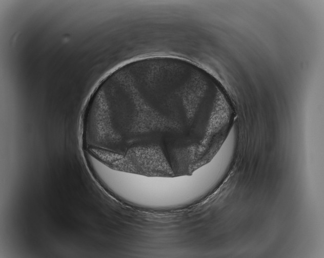 X0000094081508200711161557