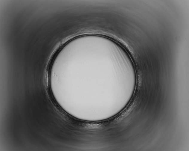 X0000094081509200711161557