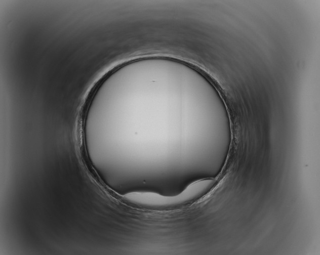 X0000094081510200711161557