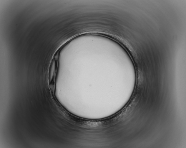 X0000094081513200711161557