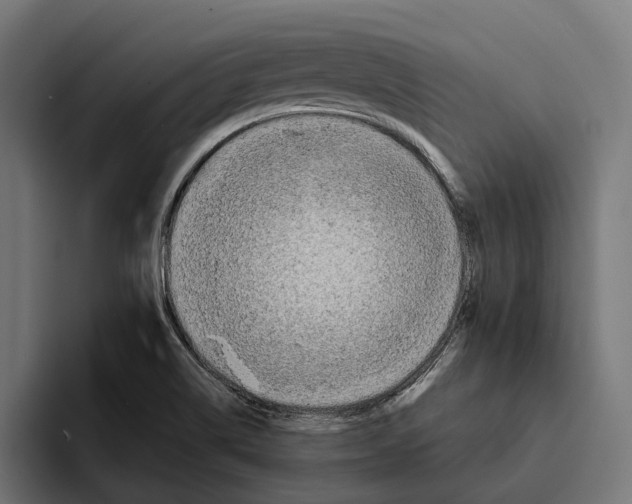 X0000094081514200711161557