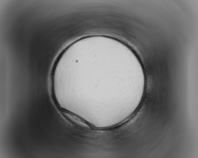 X0000094081517200711161557