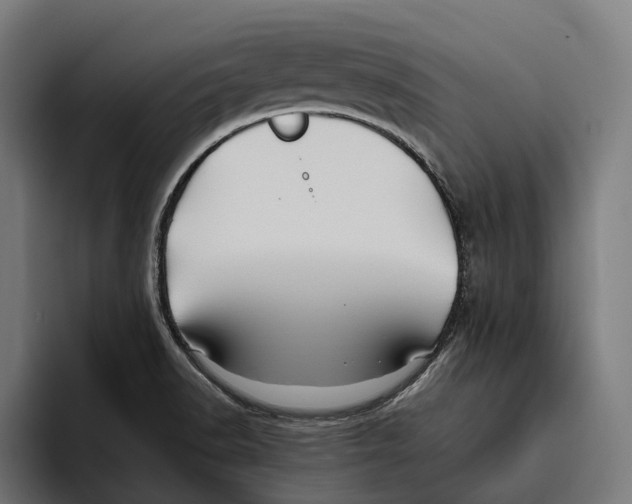 X0000094081518200711161557