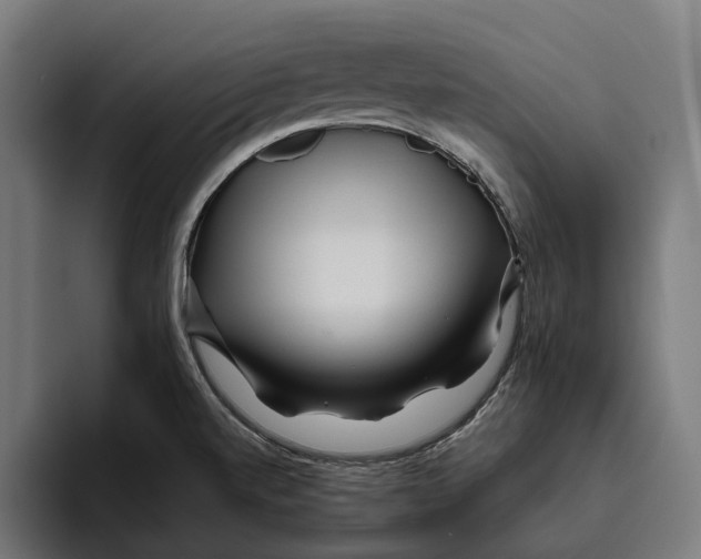 X0000094081520200711161557
