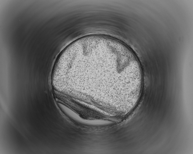 X0000094081521200711161557