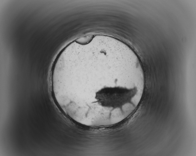 X0000094081522200711161557