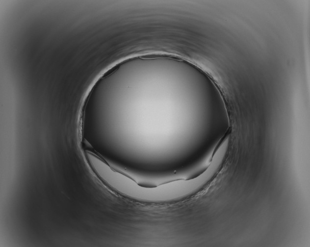 X0000094081524200711161557