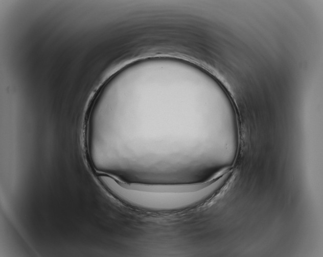 X0000094081525200711161557