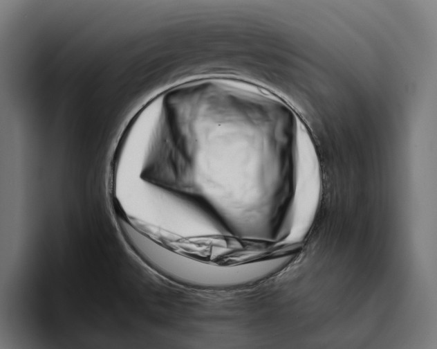 X0000094081527200711161557