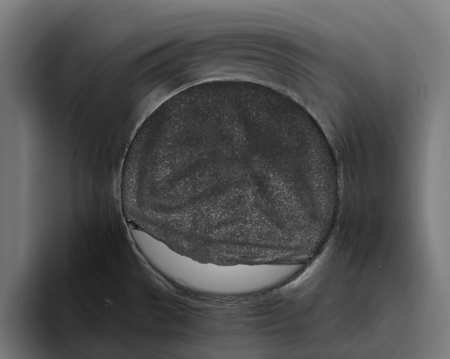 X0000094081529200711161557