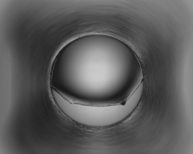 X0000094081530200711161557