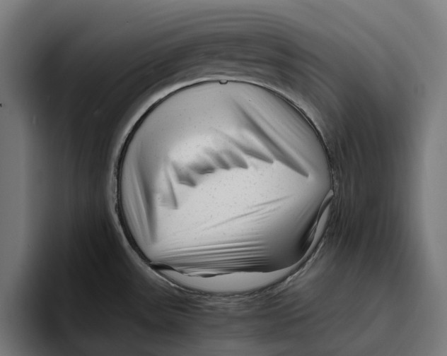 X0000094081531200711161557