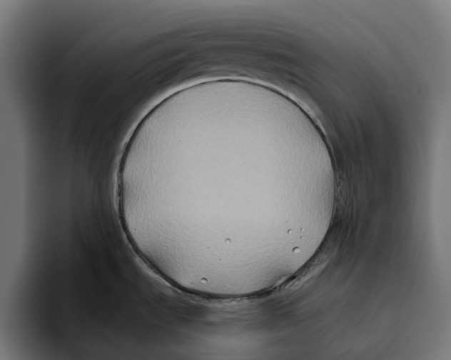 X0000094081535200711161557