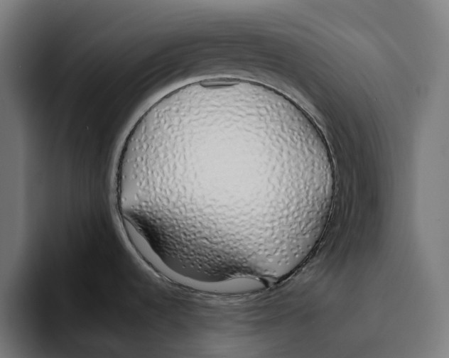 X0000094081536200711161557