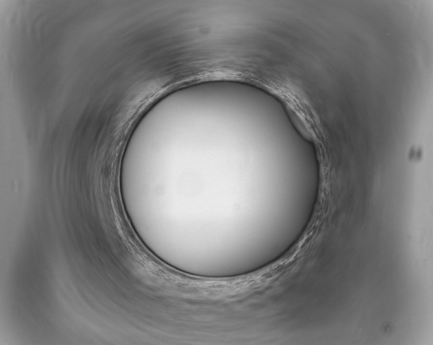 X0000094170001200710260919