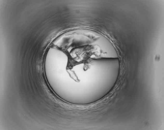 X0000094170002200710260919