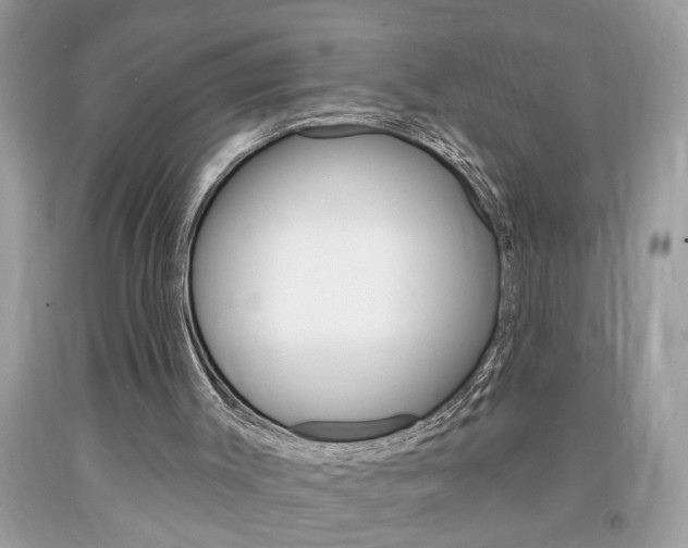 X0000094170003200710260919