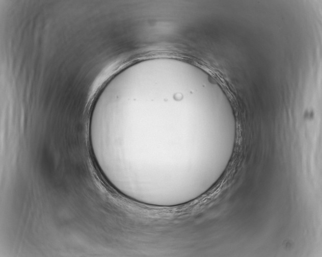 X0000094170004200710260919