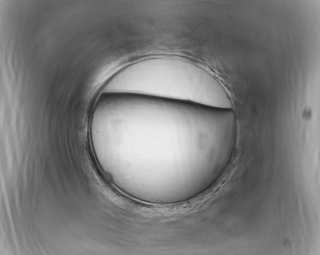 X0000094170005200710260919