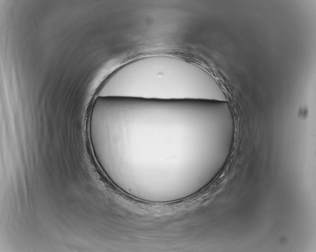 X0000094170006200710260919