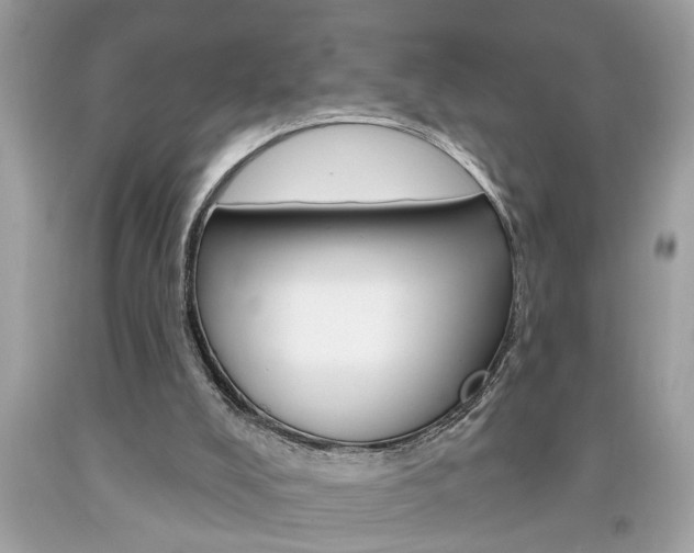 X0000094170008200710260919