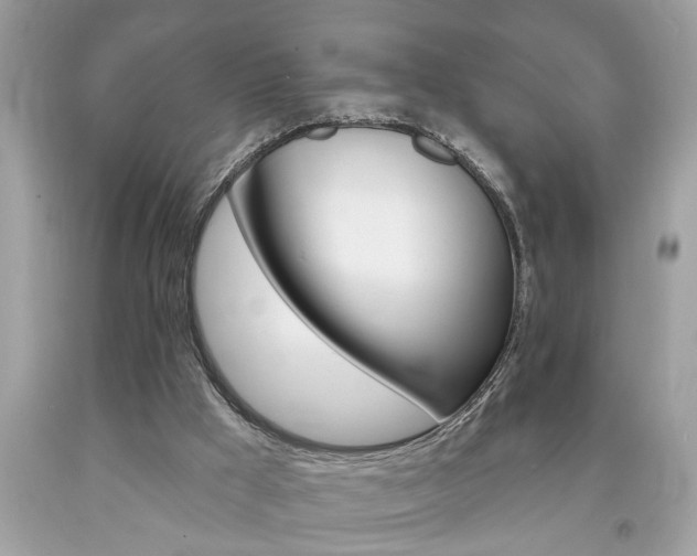 X0000094170009200710260919