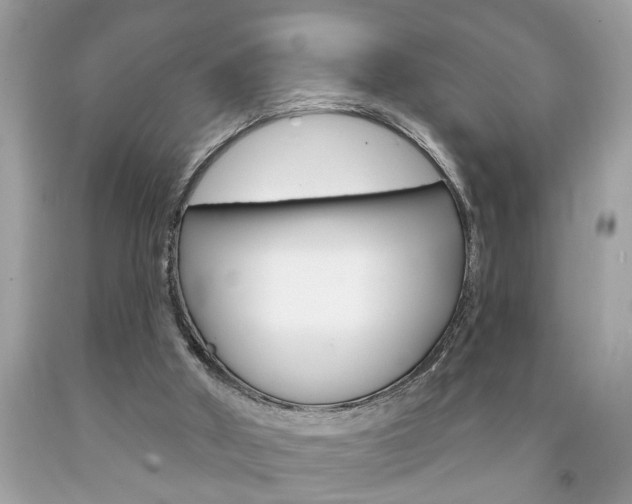 X0000094170010200710260919