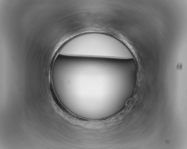 X0000094170011200710260919