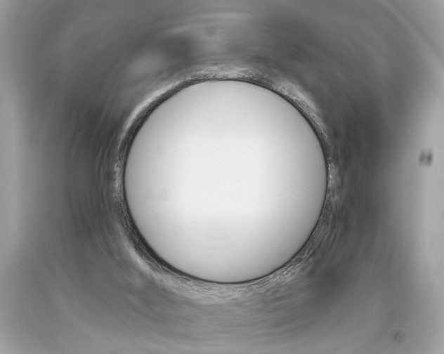 X0000094170012200710260919